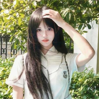 老木的秘密